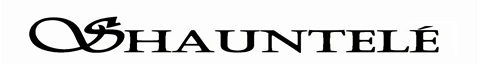 shauntele fashion design dresses logo
